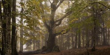 NYFF Review: Alain Guiraudie Continues His Queer, Neo-Hitchcockian Filmmaking in ‘Misericordia’